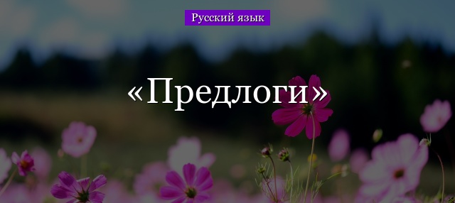 Глава 16. Морфология. Предлог / Как устроен наш язык. Большой справочник по теории для 5-11 классов / Русский на 5